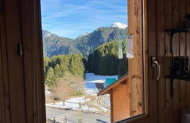 Chalet Carre - Foto 22