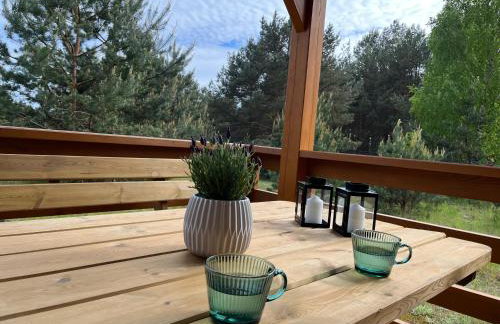 Domki Sosnowy Zakątek Swornegacie - Foto 28