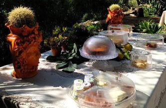 Terre Di Vendicari - Photo 80