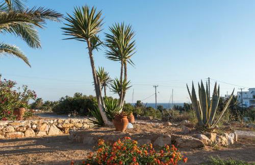 Firoa Studios - Photo 26