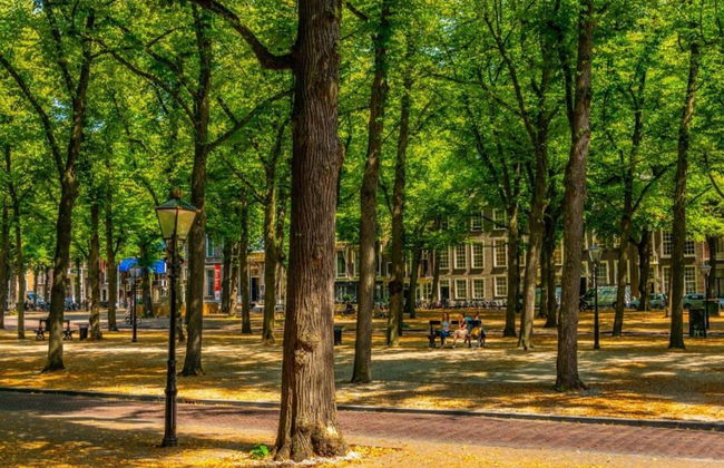 Cozy Chalet Close to the Beach - Photo 43