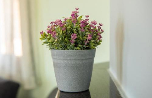 Nitsa House - Foto 45