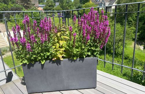 Forest Retreat Nature Residence nahe Köln- 160 m2, 2 Schlafzimmer und Blick ins Naturschutzgebiet - Foto 46