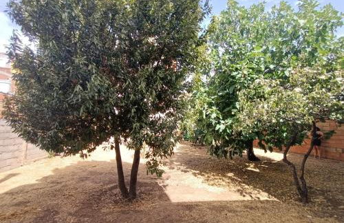 Vivienda rural Los Iberos M&M, - Foto 12