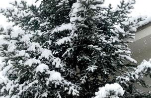 Konaki Tselepi - Foto 8