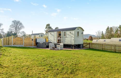 Sunflower - Uk42360 - Foto 14