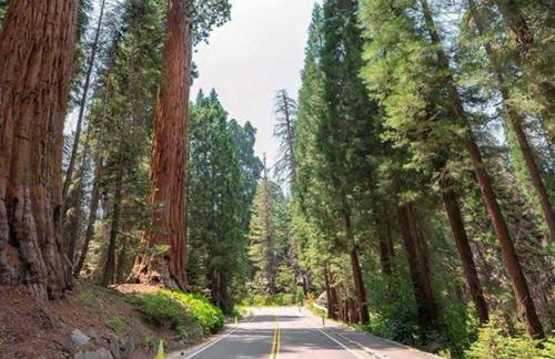 Sequoia Villa - Foto 25