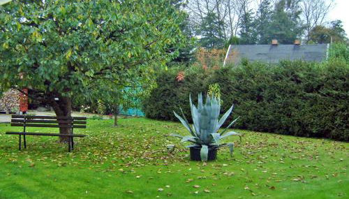 Ferienhaus Mirada - Foto 2, Garden