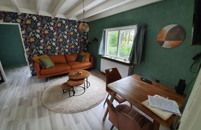 Holiday Home in Schoonloo With Balcony/terrace - Foto 19