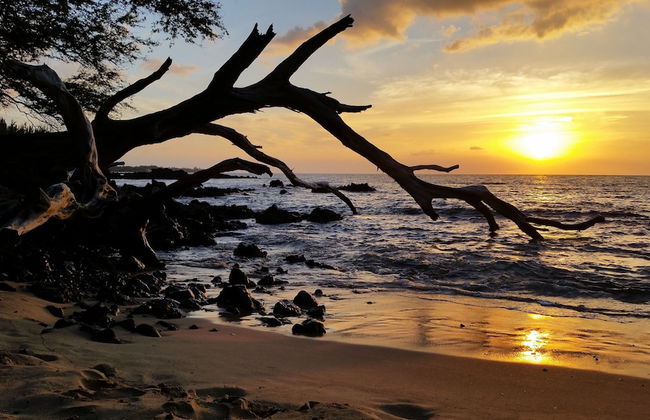 Ferns & Frogs Forest Hale 3 Bedroom Home by RedAwning - Foto 31