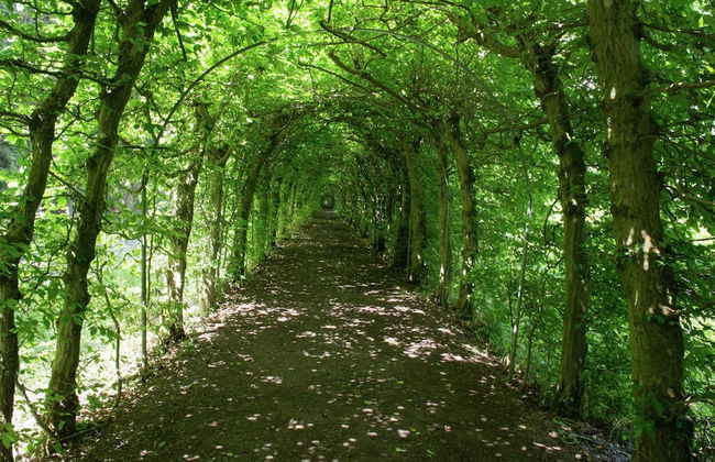 Desnie Farmhouse With Pool - Foto 33