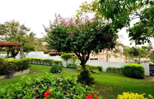 Casa Sitio Região dos Lagos 1200m2 terreno- S Pedro DAldeia - Photo 47