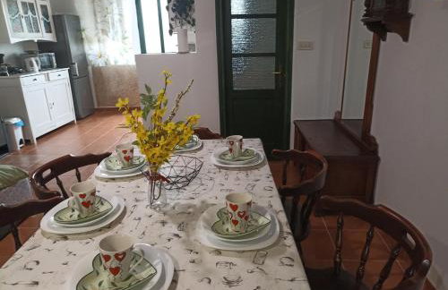 App Bonić - Foto 44