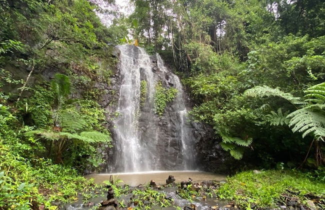 Nimbin Waterfall Retreat - Photo 1