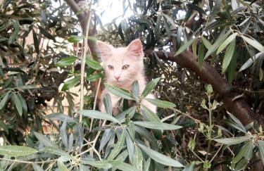 Casa Roberta - Foto 17