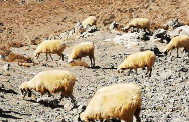 Wooden House at the Mountain-private - Foto 47