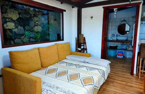 Finca Los Viñedos Verdes - Foto 14