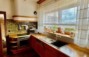 Ferienhaus Altenplos - Foto 8