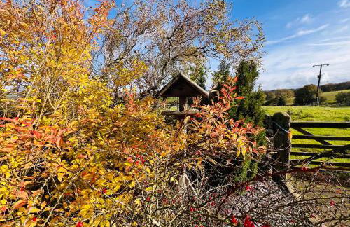 Peace & Tranquillity - Breathe Nature & Star Gaze - Photo 68