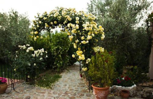 CAZORLA-ALCON, CASA HOYA DON GASPAR - Foto 19