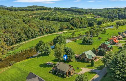 Cozy Cabin Right on the New River in Todd - Easy River Access - Fire Pit - Photo 29