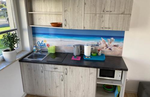 Sofia Dwupoziomowe Apartamenty - Foto 9