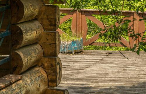 Kałamunka - Foto 70