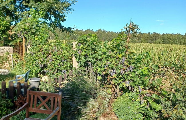 Gemuetlicher Bungalow mit Garten UND Whirlpool in Nakenstorf - Photo 40