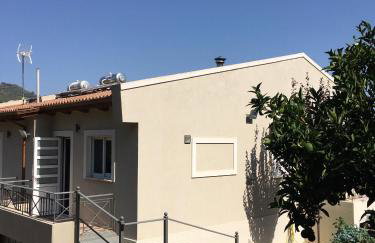 The Olive Orchard - Foto 4