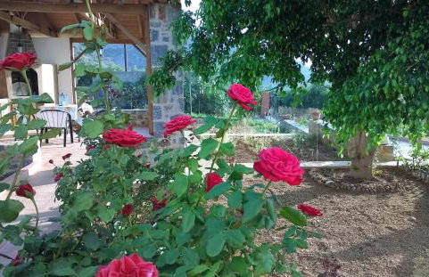 House of Polymnia - Photo 9