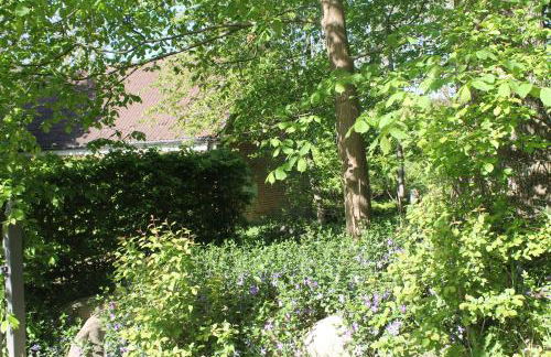 Altes Waschhaus Krakvitz - Foto 12