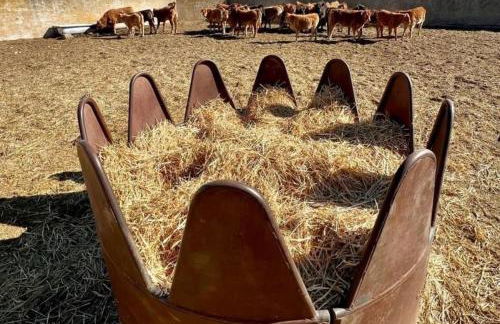 El MIRADOR DEL TORMES - Foto 40