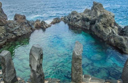 Musa Paradisiaca - Foto 40