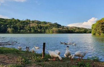 Suítes Laure - Foto 11