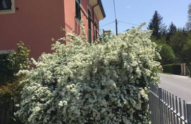 Il Ghiretto Appartamento - Photo 51