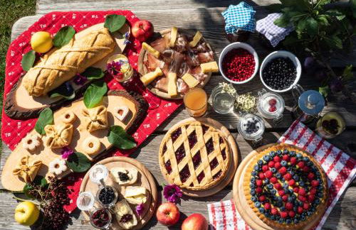 Maso Fior di Bosco - Val di Rabbi - Esercizio Rurale - Foto 95