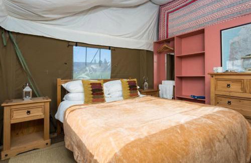 Snipe - Bleasdale - Foto 14