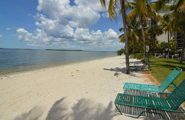 Resort Harbour Properties - Photo 53