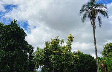 Sítio Pand'Oro - Foto 24