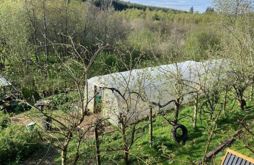 Beautiful Listed Mansion with incredible woodland views - Photo 73