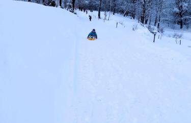 Bieszczadzkie Dworki - Foto 78