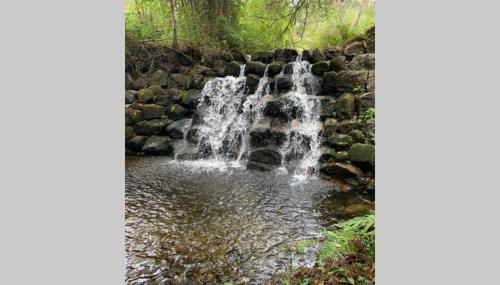 Formas Patuscas, Turismo Rural - Foto 5