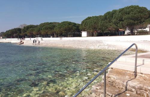 Bright & Cozy Medulin apartments - Foto 38