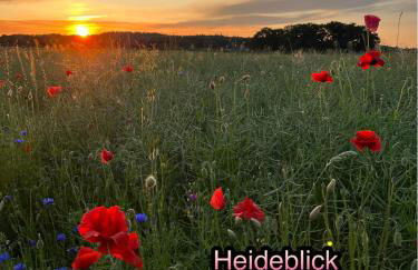 Wormis Apartment Heideblick bei Luckau - Foto 39