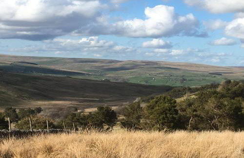 Weardale Cottage - Photo 34