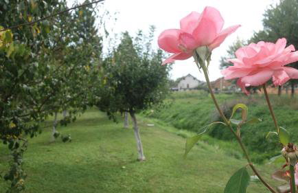 Apartment Mia - Foto 47