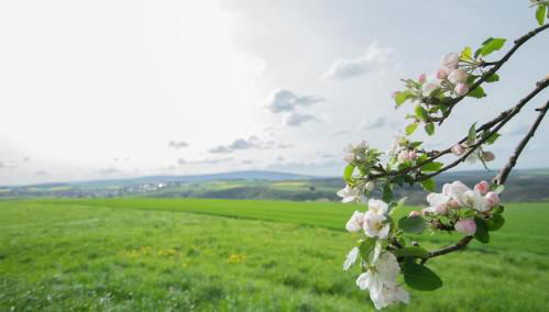 Moderne Wohnung mit Panorama - Foto 5