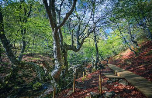 Casa Rural Entre Valles - Foto 23