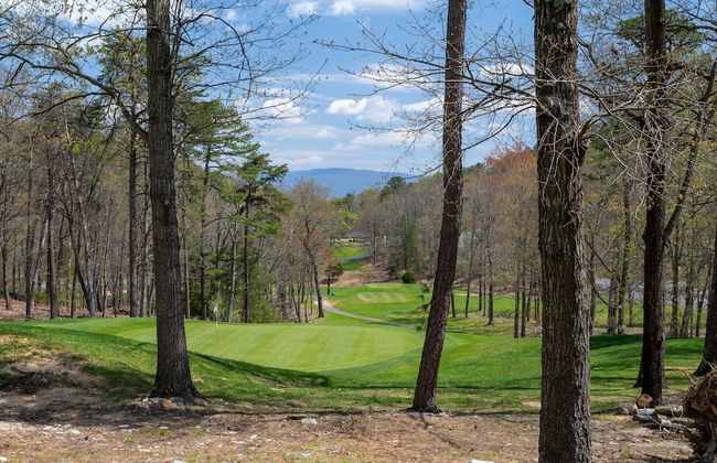 Massanutten's Regal Vistas by Tripforth - Foto 38