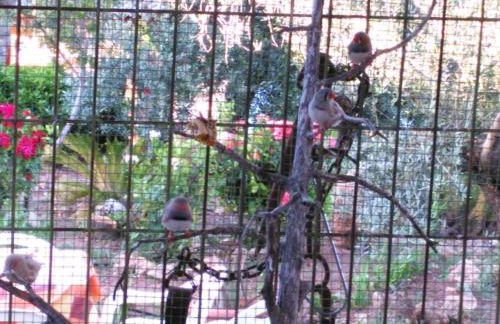 Alojamientos Rurales la Loma - Foto 41